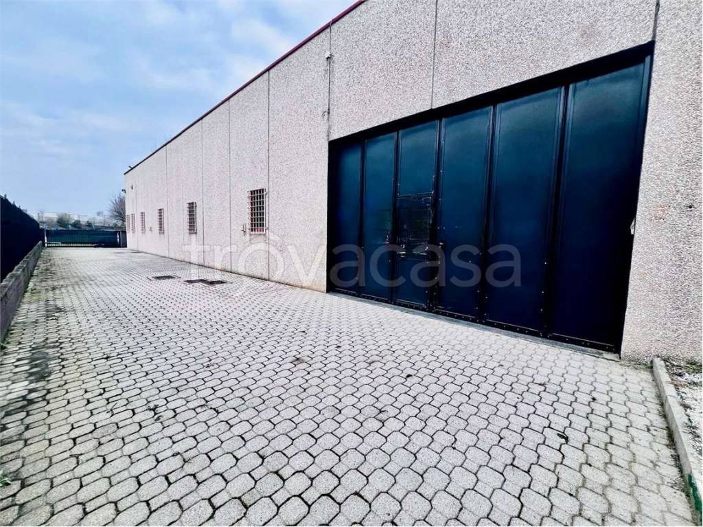 immagine annuncio 12 di 15