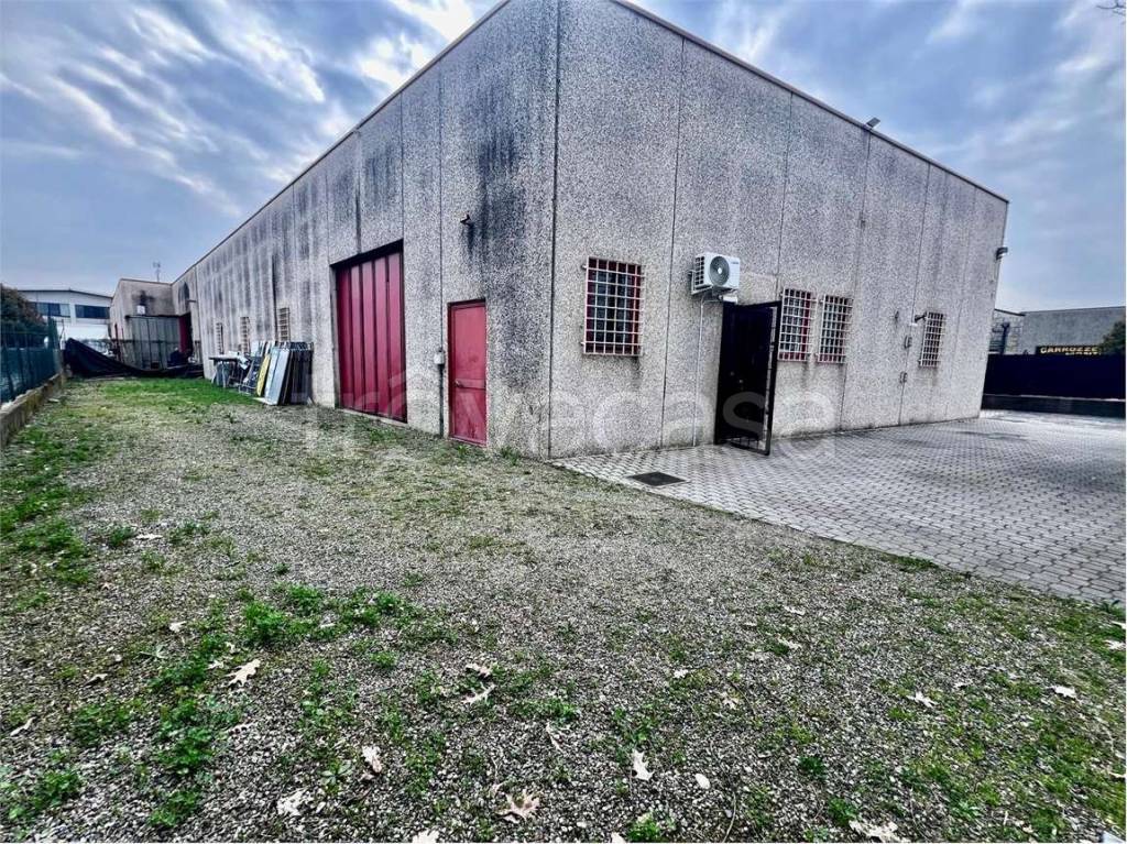 immagine annuncio 13 di 15