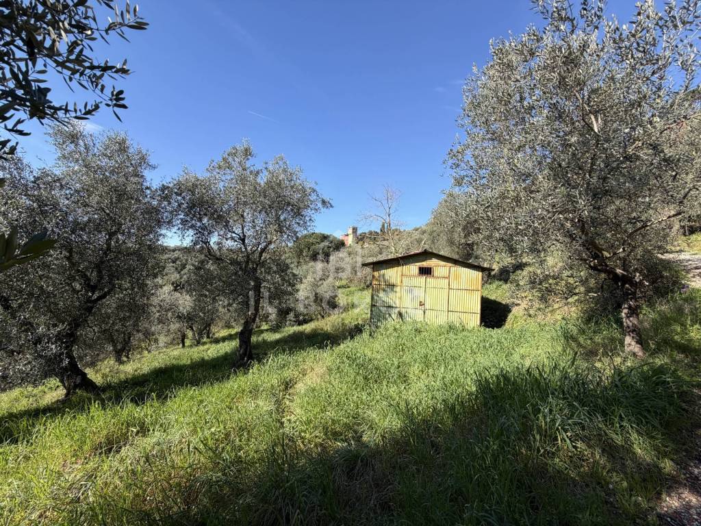 immagine annuncio 1 di 14