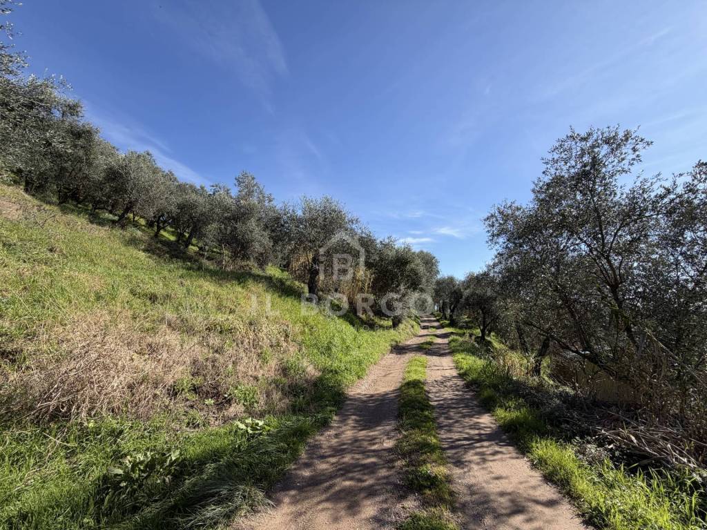 immagine annuncio 3 di 14