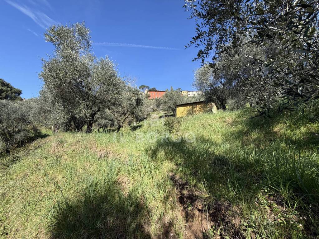 immagine annuncio 5 di 14