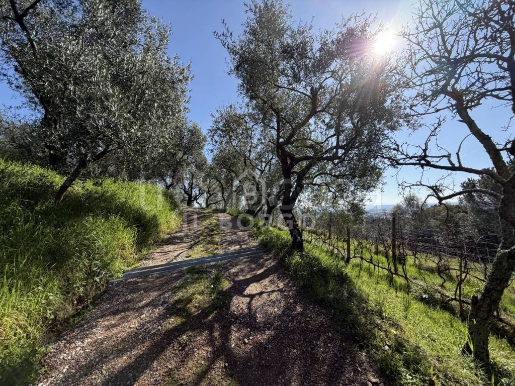 immagine annuncio 6 di 14