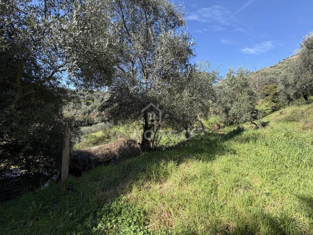 immagine annuncio 7 di 14