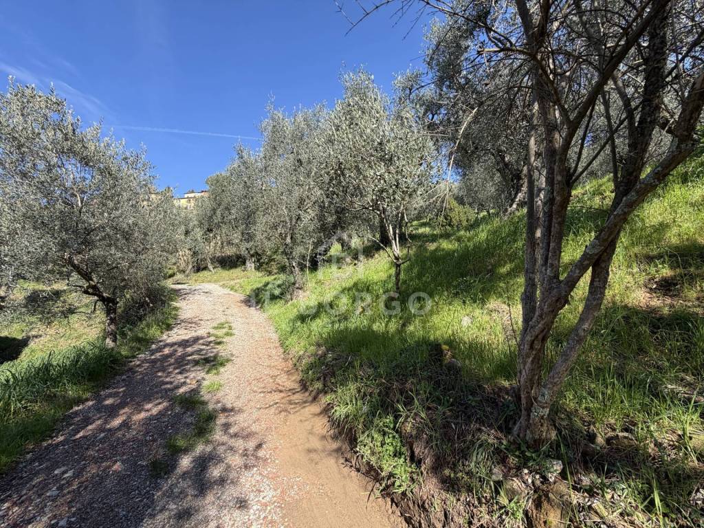 immagine annuncio 10 di 14