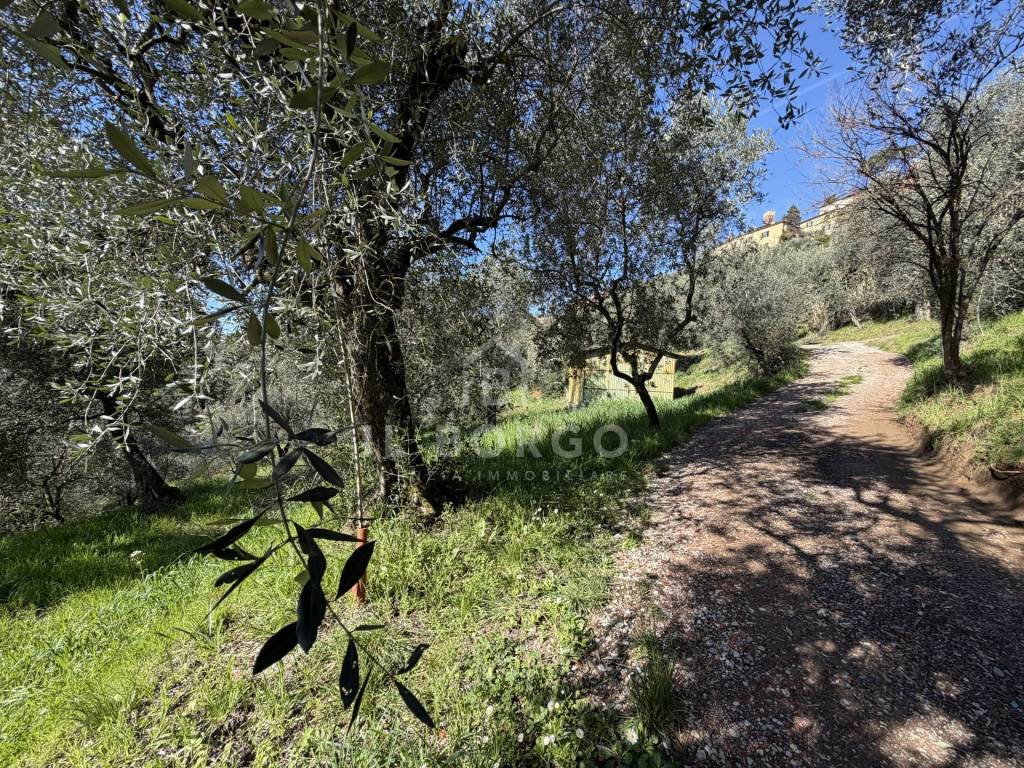 immagine annuncio 11 di 14