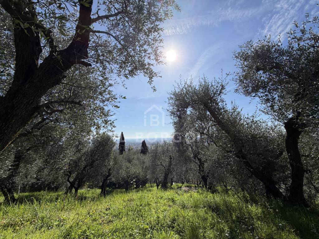 immagine annuncio 13 di 14