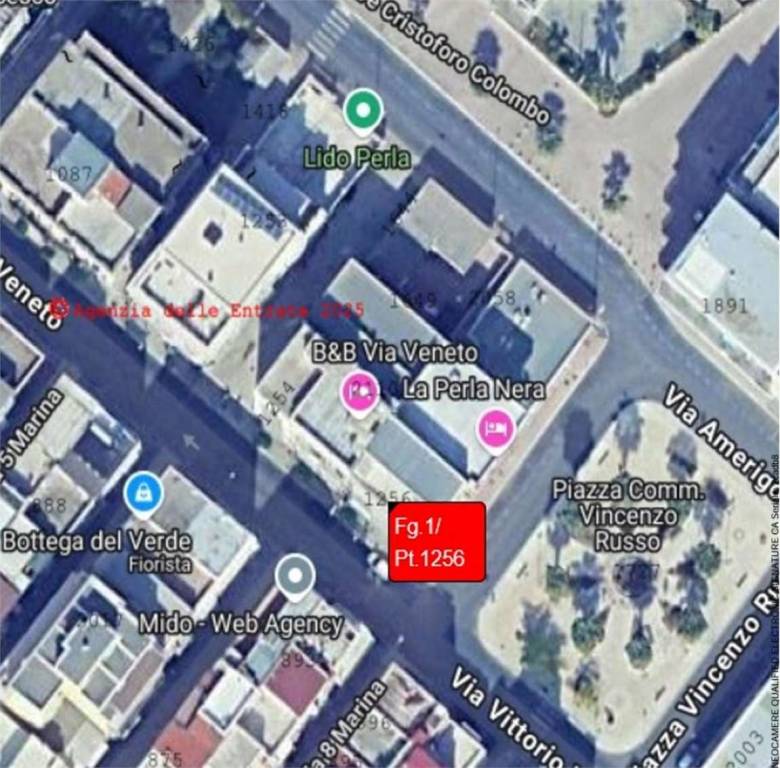 immagine annuncio 1 di 11