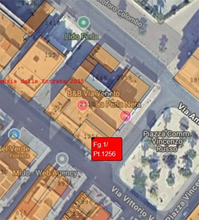 immagine annuncio 3 di 11