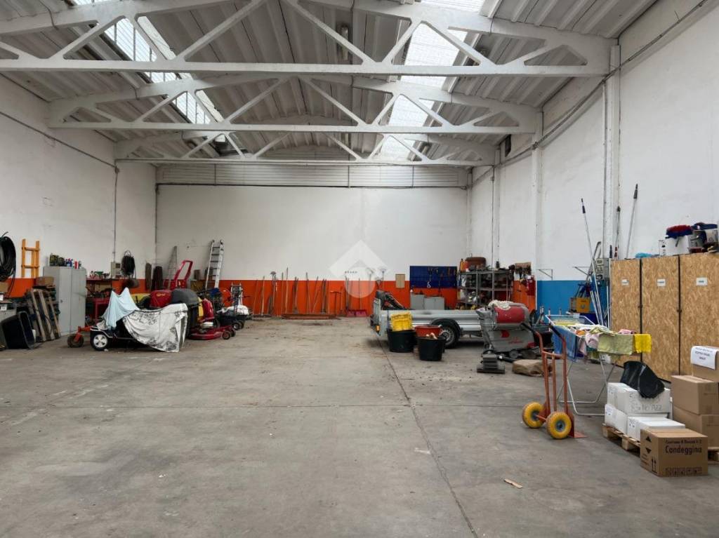 immagine annuncio 1 di 15