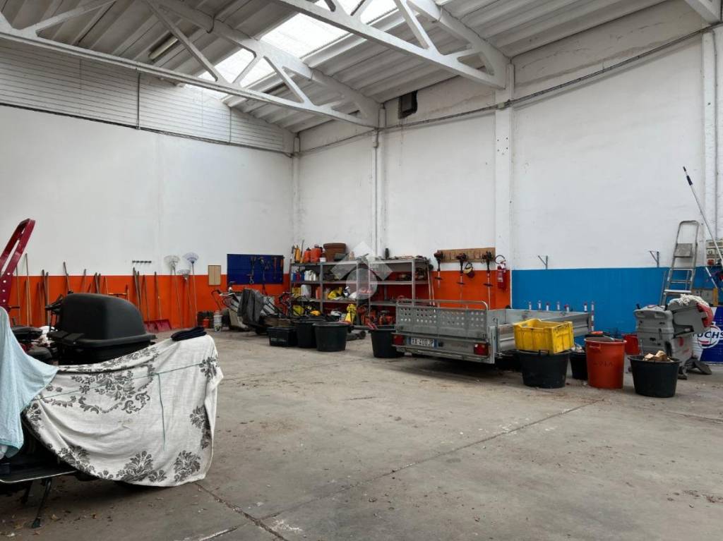 immagine annuncio 3 di 15