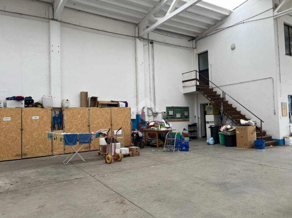 immagine annuncio 4 di 15