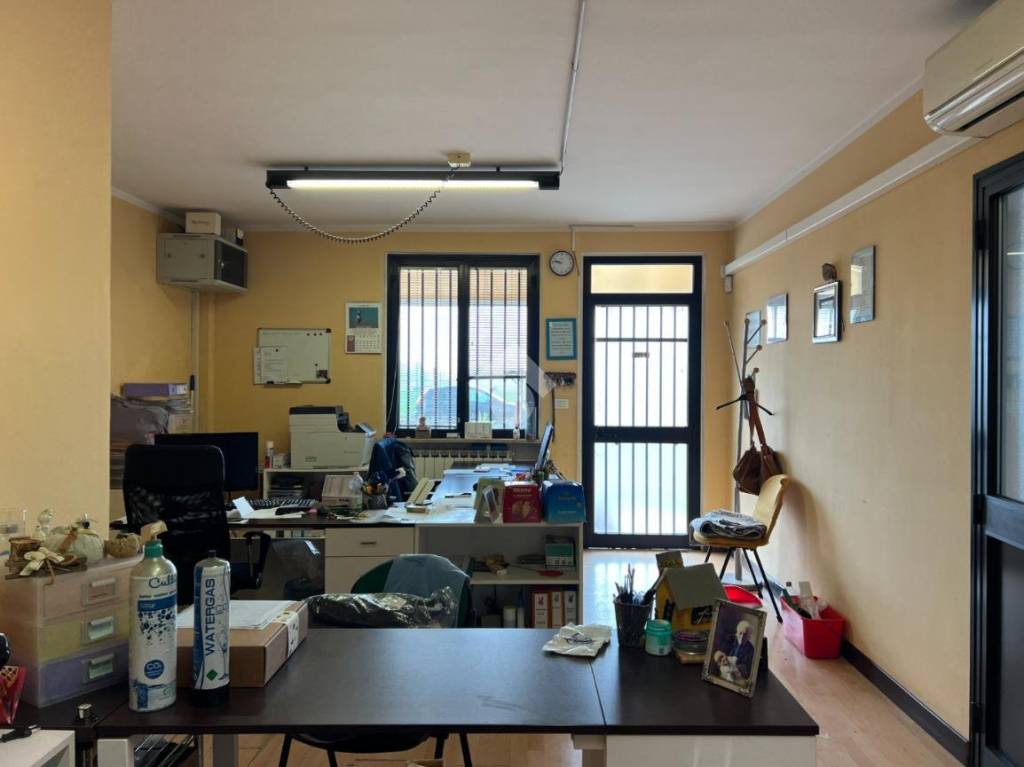 immagine annuncio 7 di 15