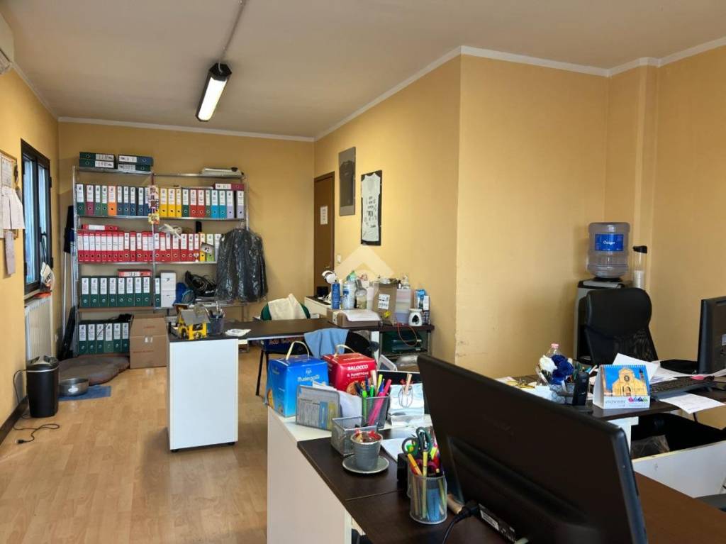 immagine annuncio 9 di 15