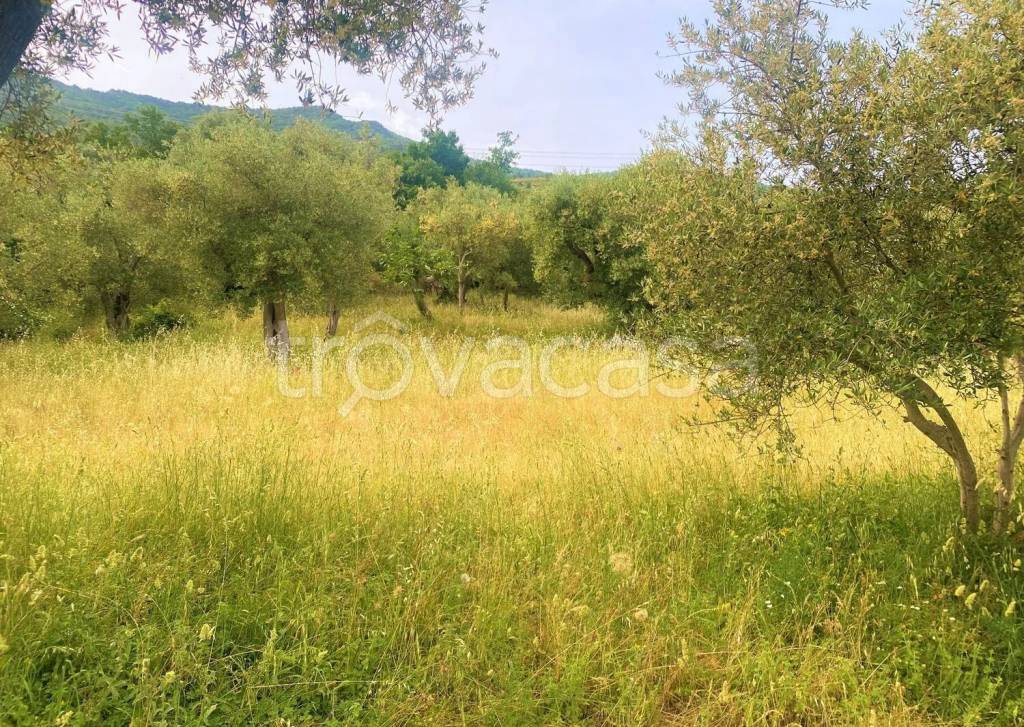 immagine annuncio 2 di 8