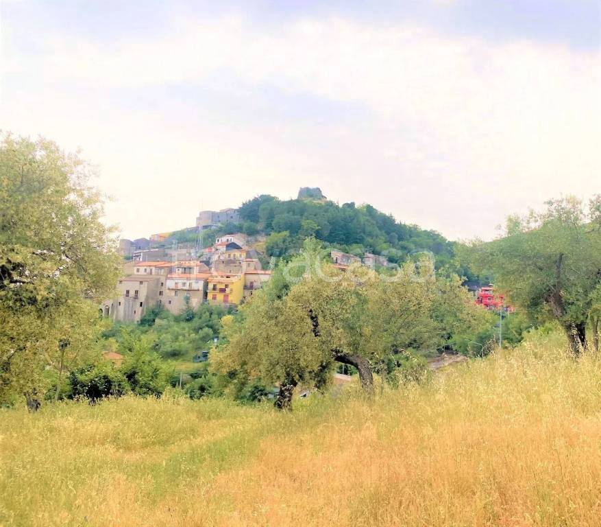 immagine annuncio 5 di 8