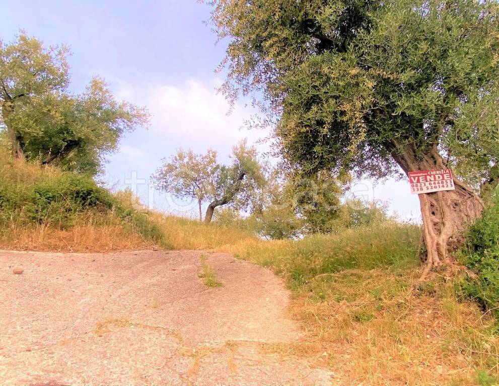 immagine annuncio 7 di 8