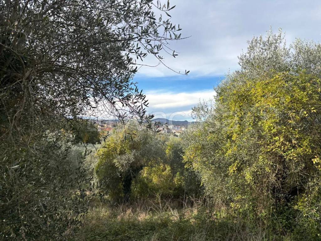 immagine annuncio 7 di 10