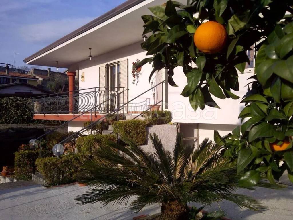 immagine annuncio 1 di 7