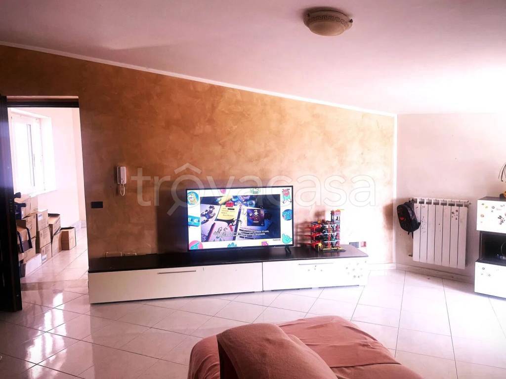 immagine annuncio 10 di 13