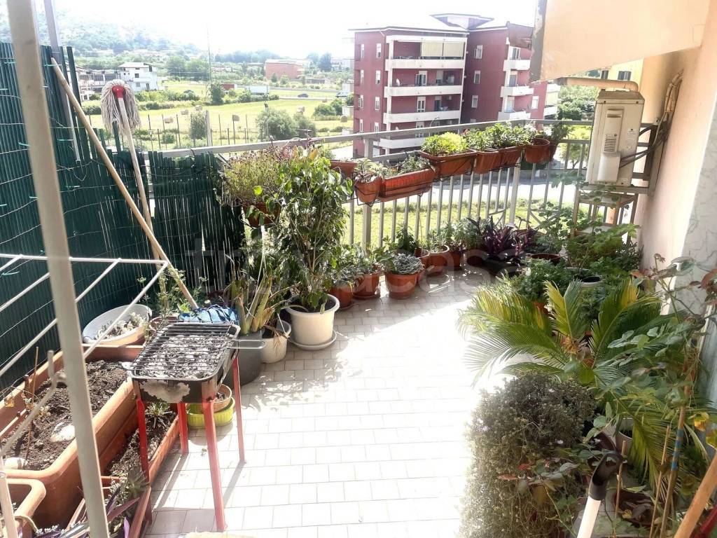 immagine annuncio 11 di 13