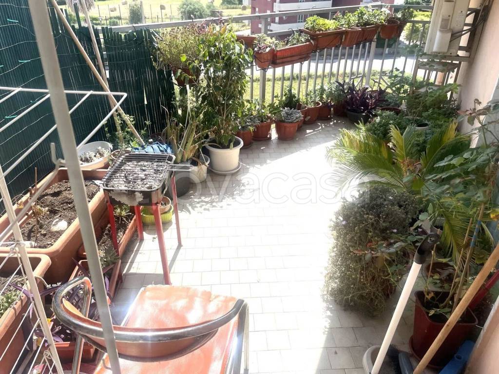 immagine annuncio 12 di 13