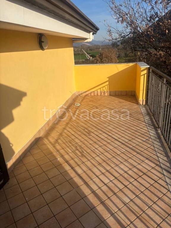 immagine annuncio 11 di 14