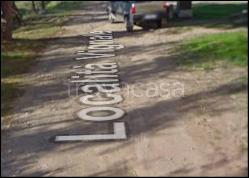 immagine annuncio 8 di 12