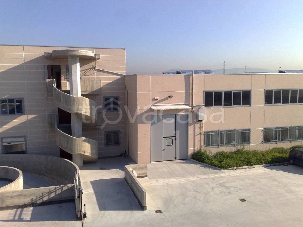 immagine annuncio 10 di 11