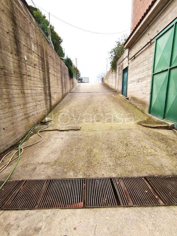 immagine annuncio 3 di 7