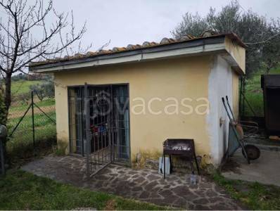 immagine annuncio 2 di 11