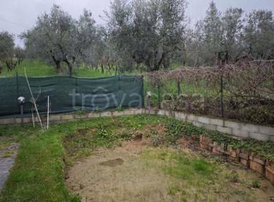 immagine annuncio 7 di 11