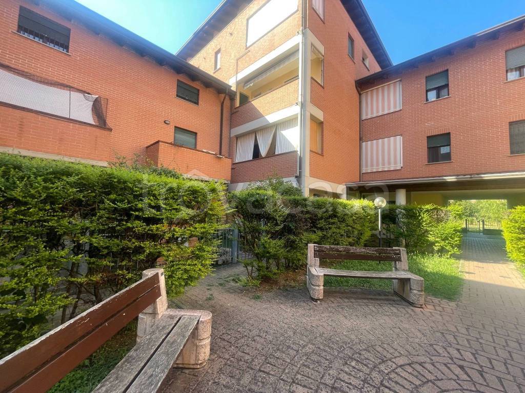 immagine annuncio 3 di 15