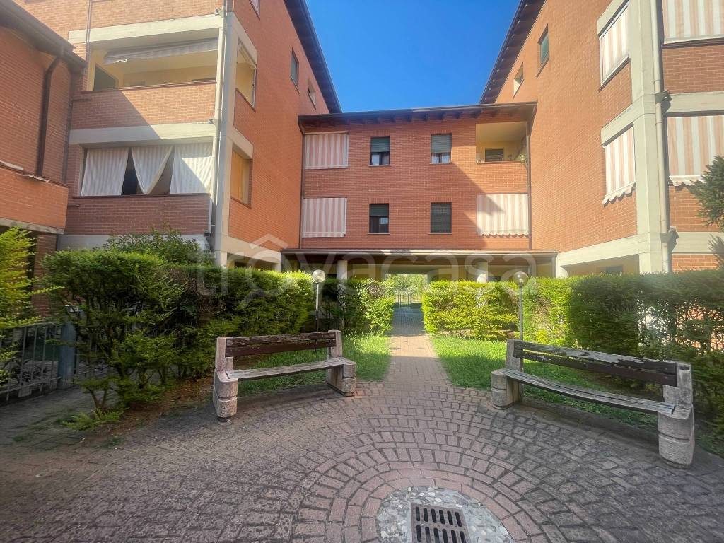 immagine annuncio 2 di 15