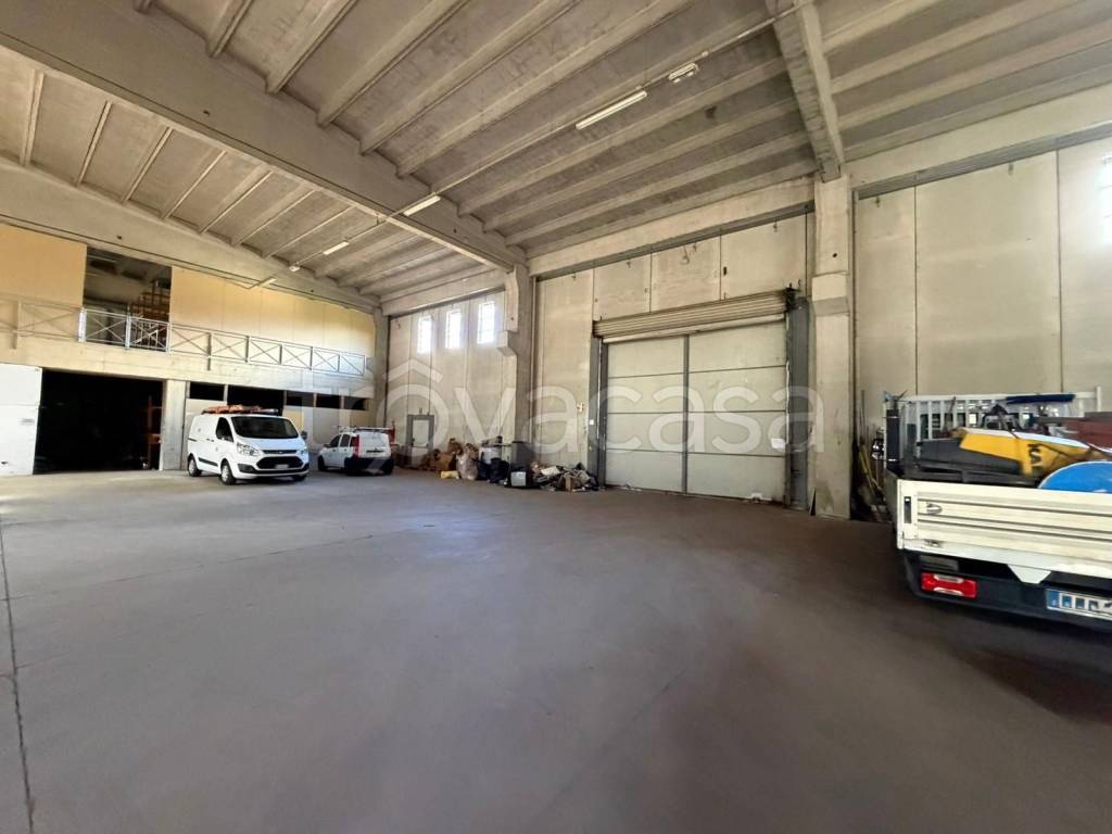 immagine annuncio 5 di 15