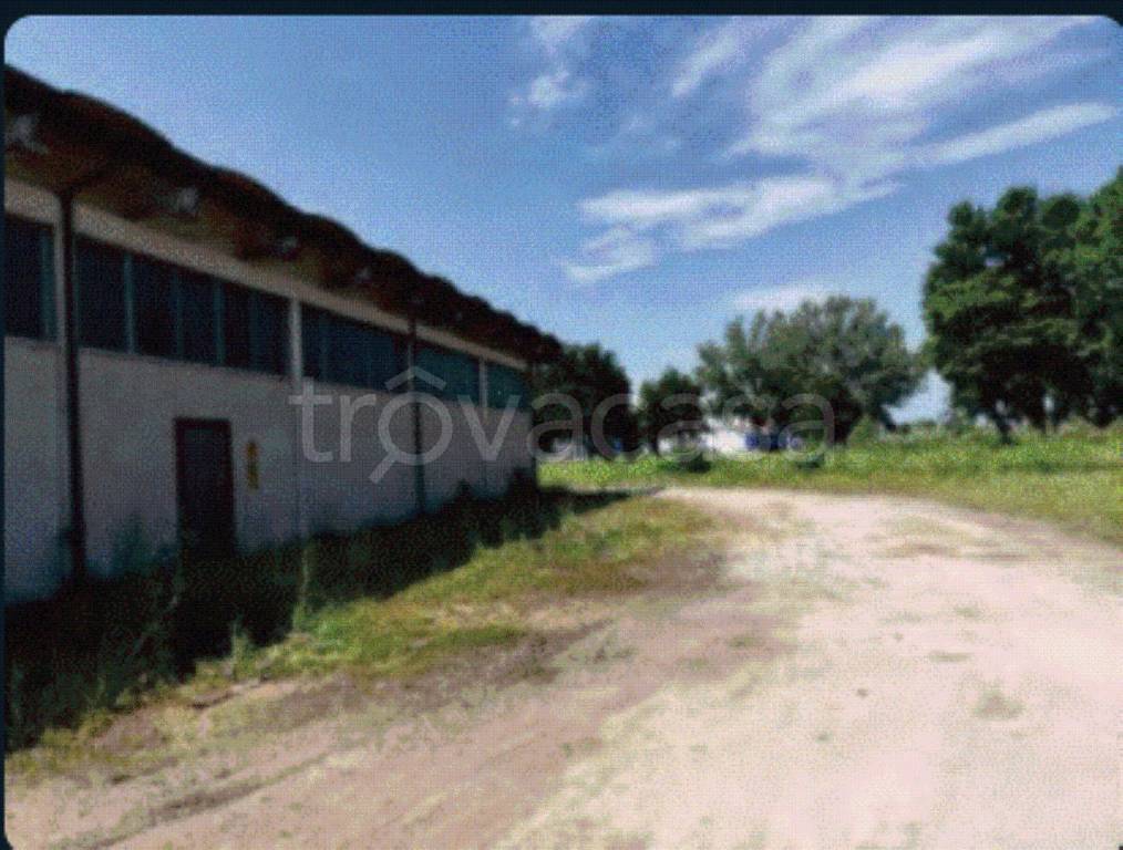 immagine annuncio 3 di 9