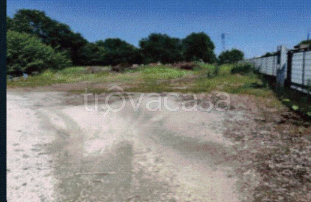 immagine annuncio 6 di 9