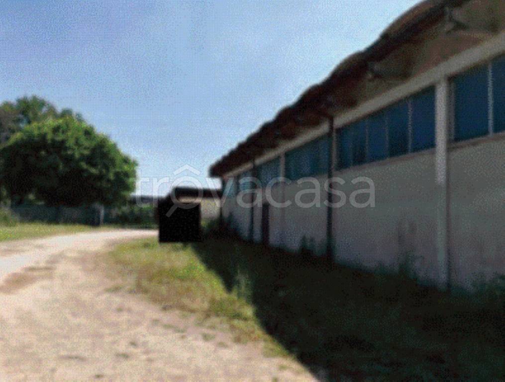 immagine annuncio 8 di 9