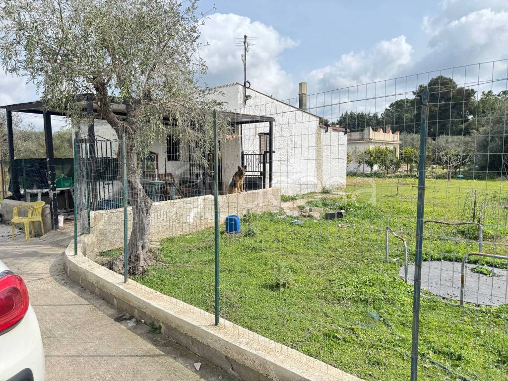 immagine annuncio 2 di 10