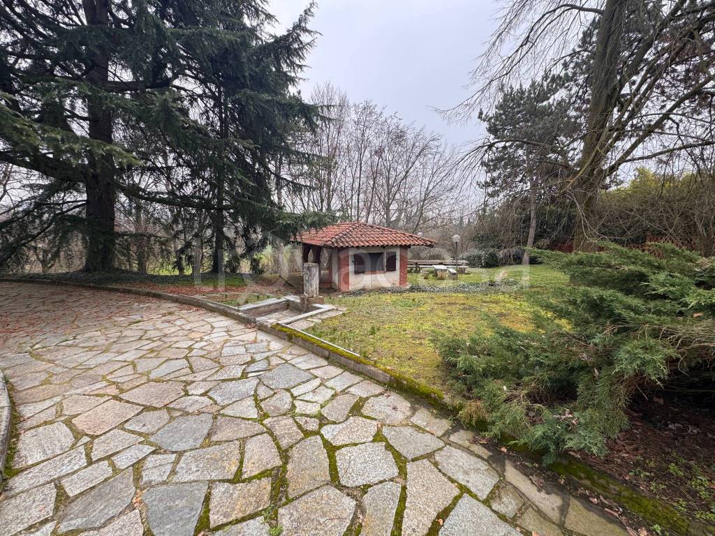 immagine annuncio 4 di 15