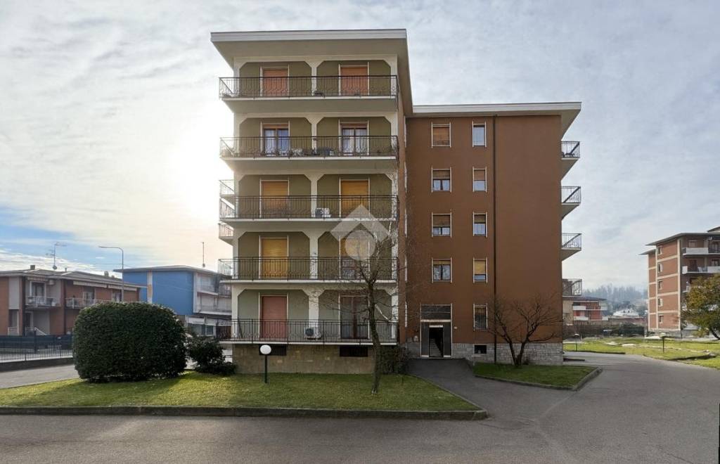 immagine annuncio 3 di 13