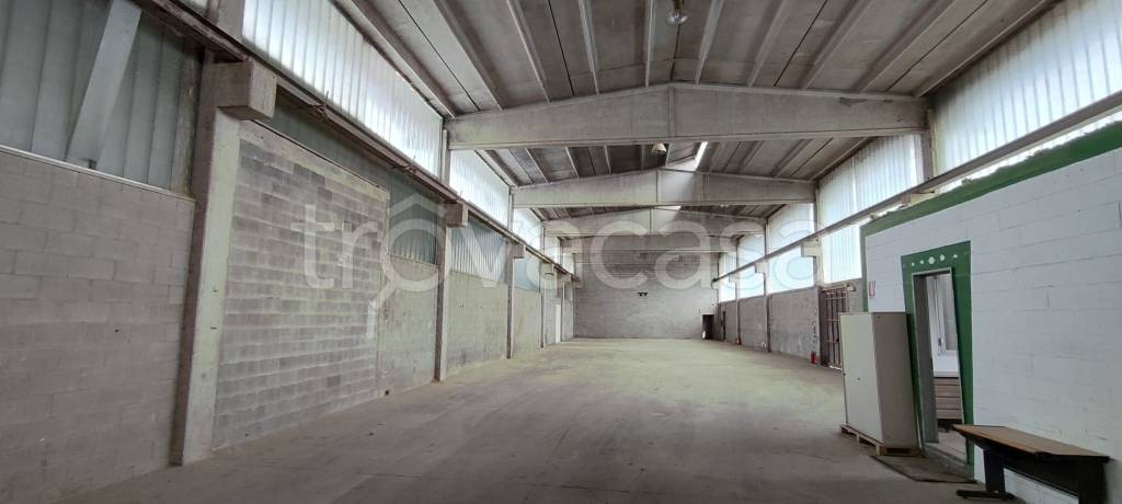 immagine annuncio 2 di 14