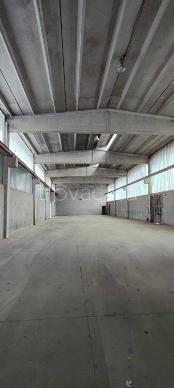 immagine annuncio 9 di 14