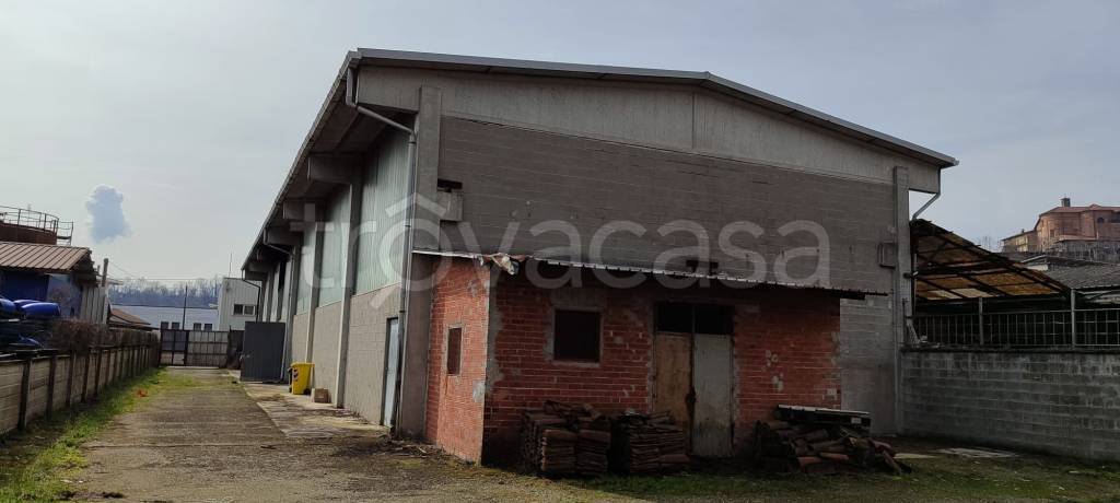 immagine annuncio 11 di 14