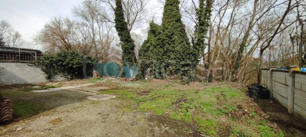 immagine annuncio 12 di 14