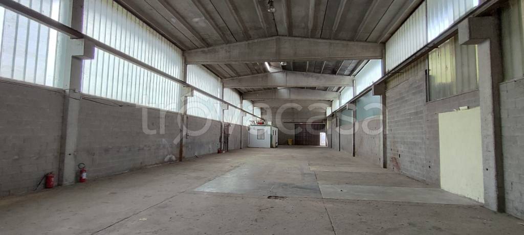 immagine annuncio 4 di 14