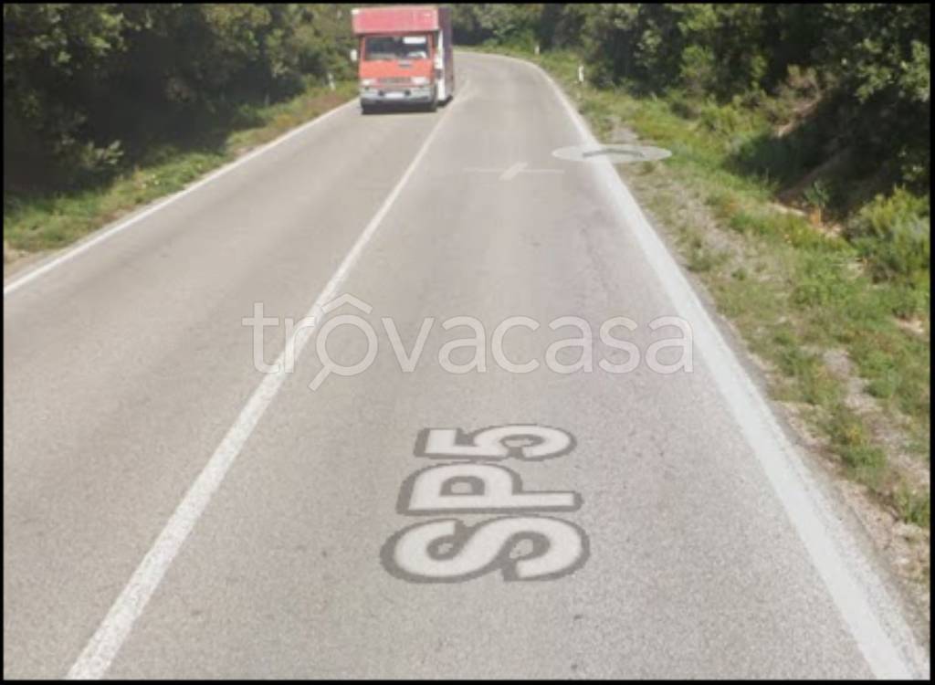 immagine annuncio 8 di 12