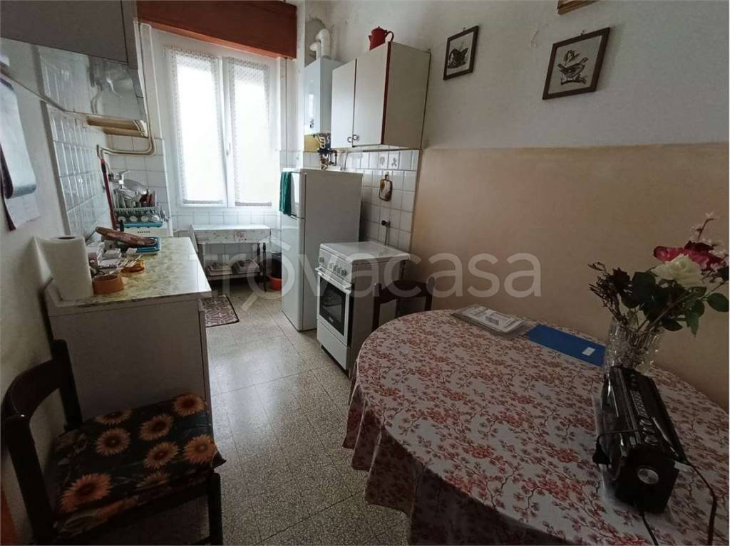 immagine annuncio 3 di 9