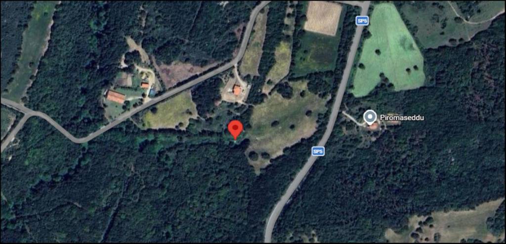 immagine annuncio 11 di 12