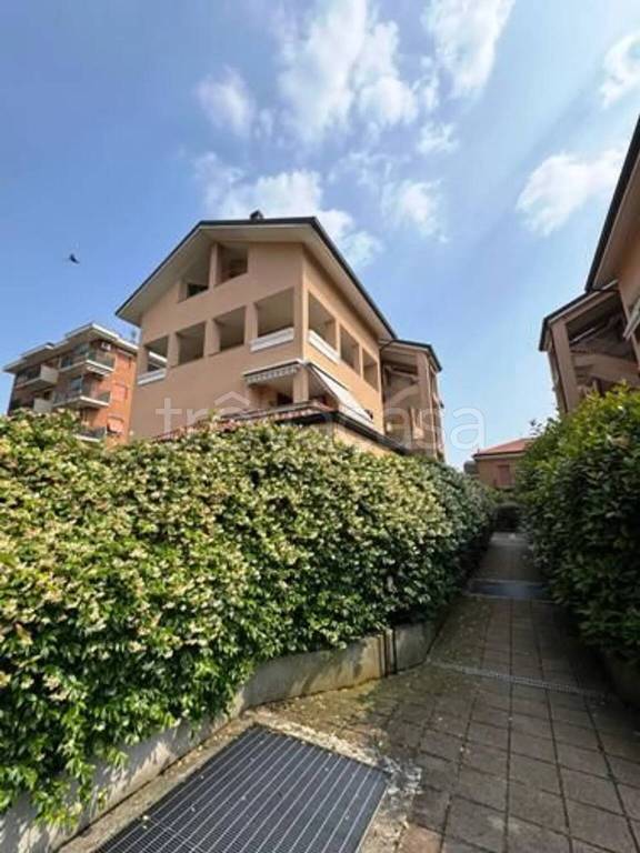 immagine annuncio 1 di 14