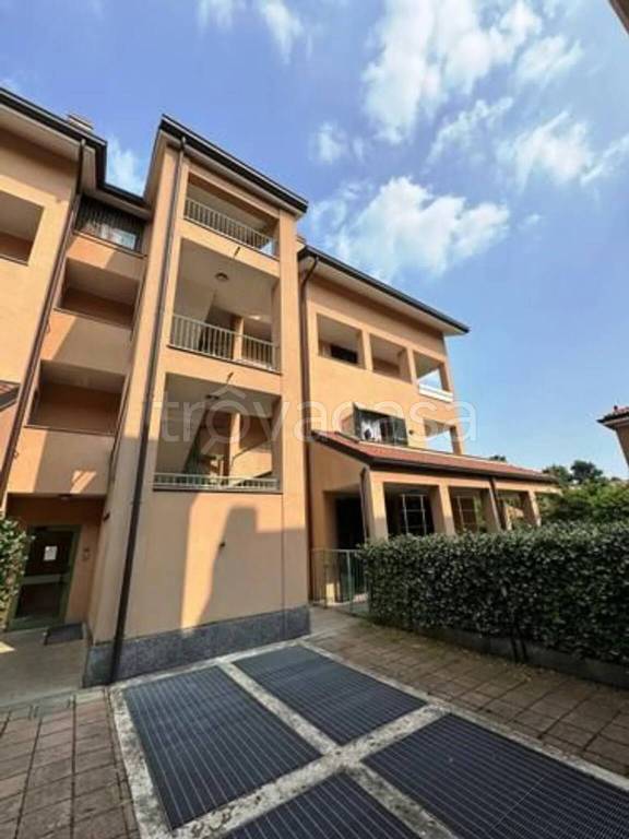 immagine annuncio 2 di 14